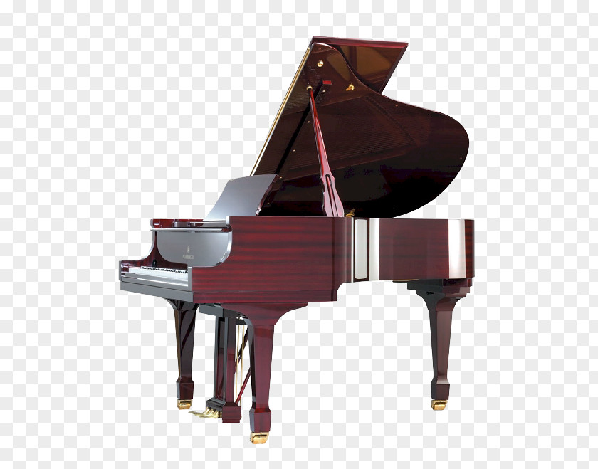 Piano Grand Steinway & Sons Young Chang Musical Instruments PNG