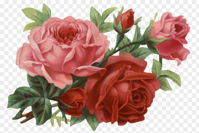 Retro Rose Flower Clip Art PNG