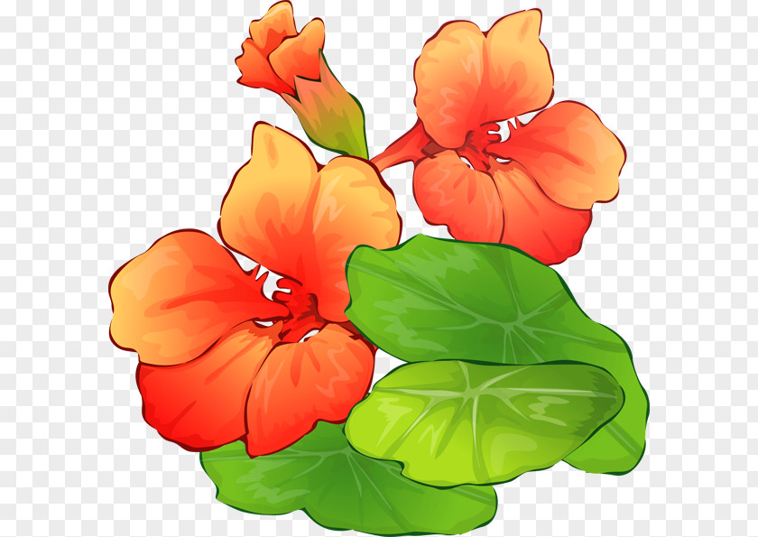 Summer Flower Cliparts Bouquet Clip Art PNG