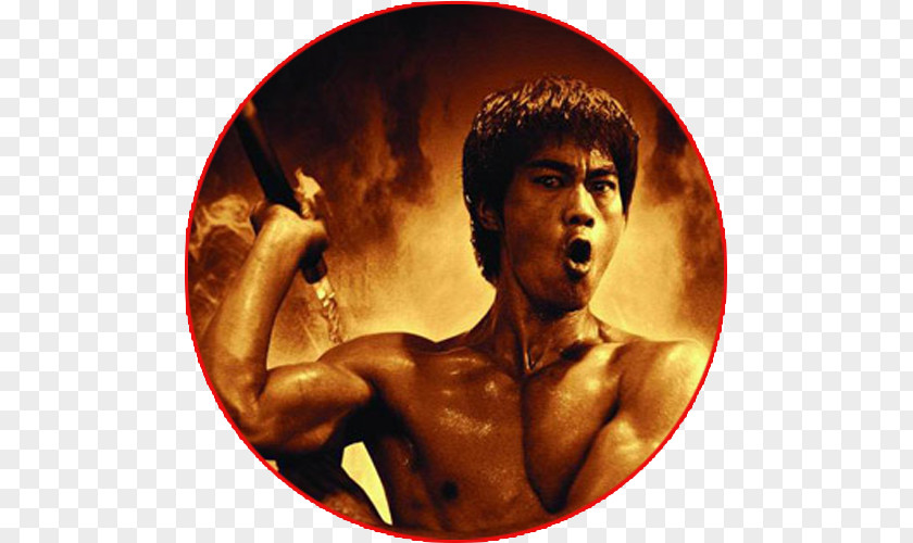 The Fighter Desktop Wallpaper WallpaperBruce Lee Bruce PNG