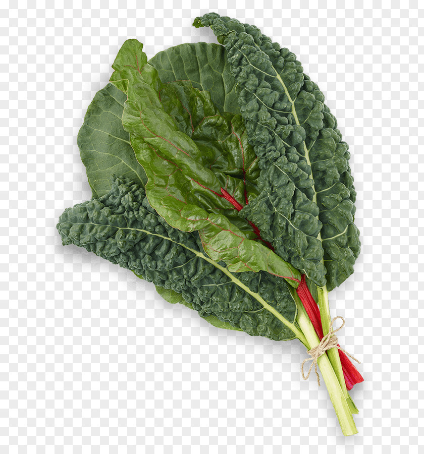 Vegetable Lacinato Kale Leaf Collard Greens Chard Rapini PNG