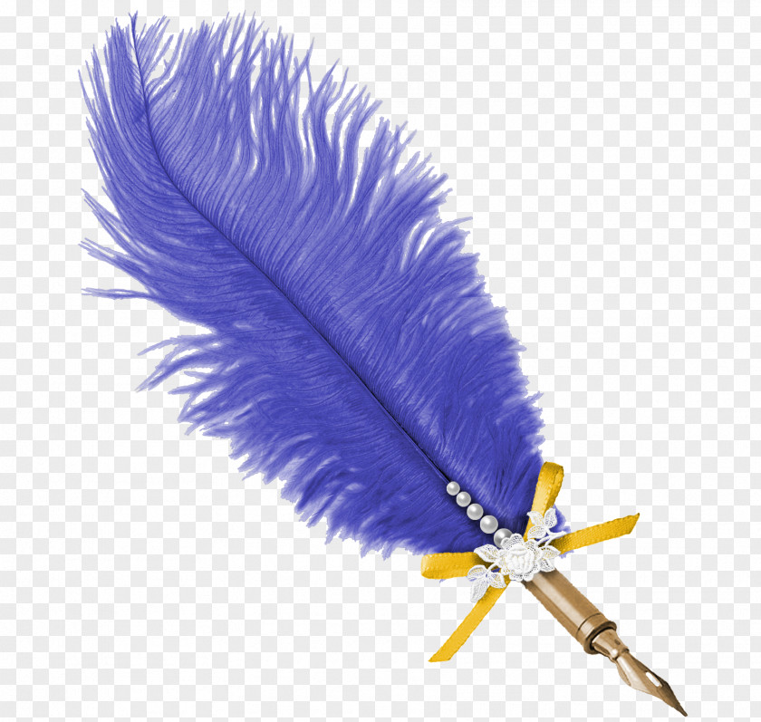 Blue Feather Pen Paper Scrapbooking Photography Clip Art PNG