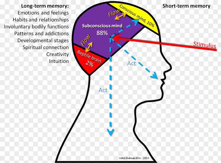 Conscience Consciousness Psyche Unconscious Mind Analytical Psychology PNG