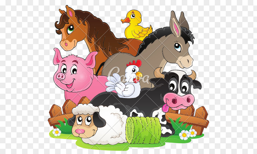 Farm Animals Livestock Cartoon PNG