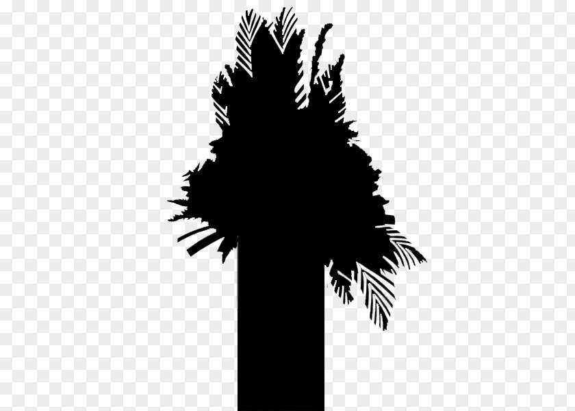 Palm Trees Font Silhouette Leaf PNG