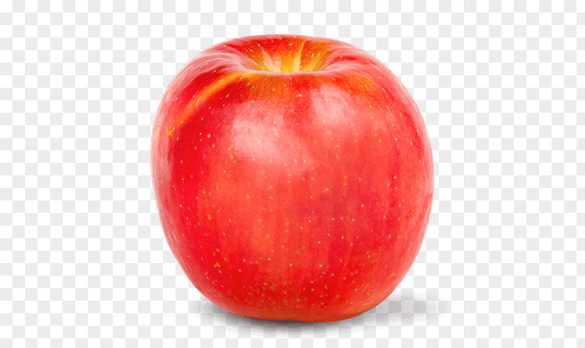 Apple McIntosh Red Fuji Crisp Organic Food PNG
