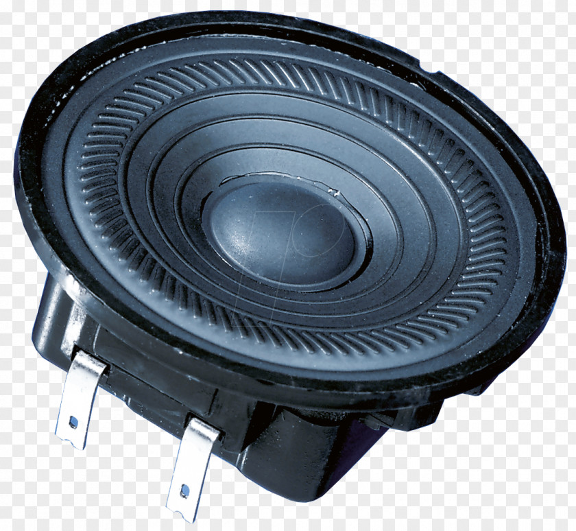 Car Subwoofer Computer Speakers Visaton Broadband Speaker 8 FR 16 WP 4 OHM PNG