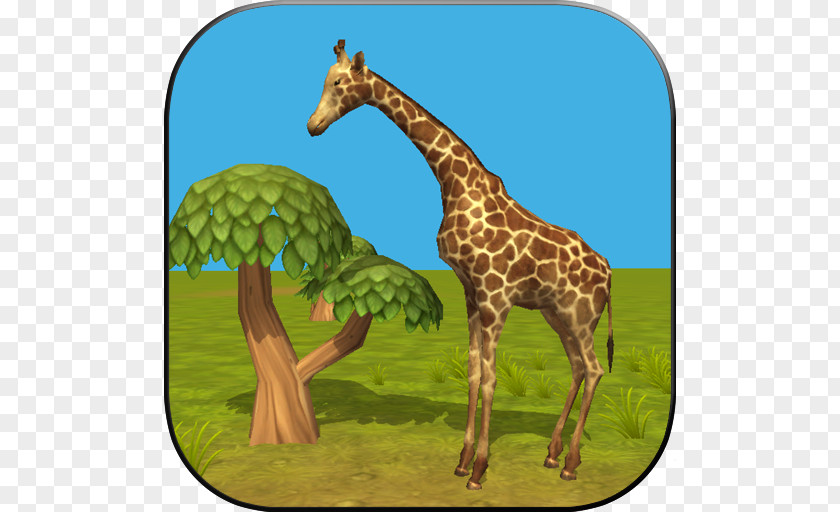 Giraffe Simulator Penguin Android Bear PNG