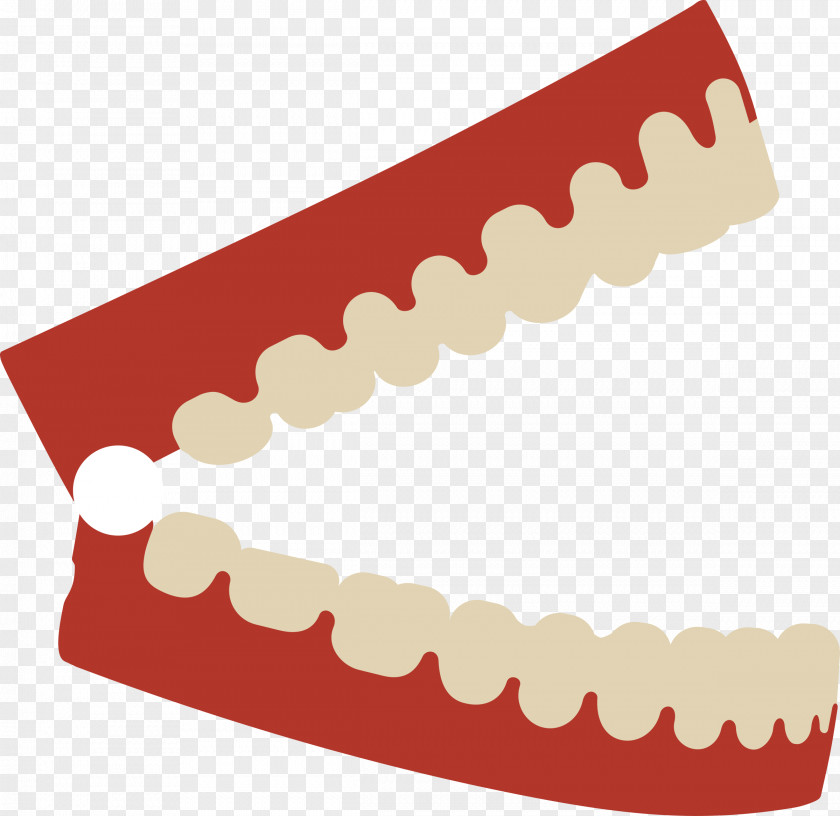 Tooth Human Dentist Clip Art PNG