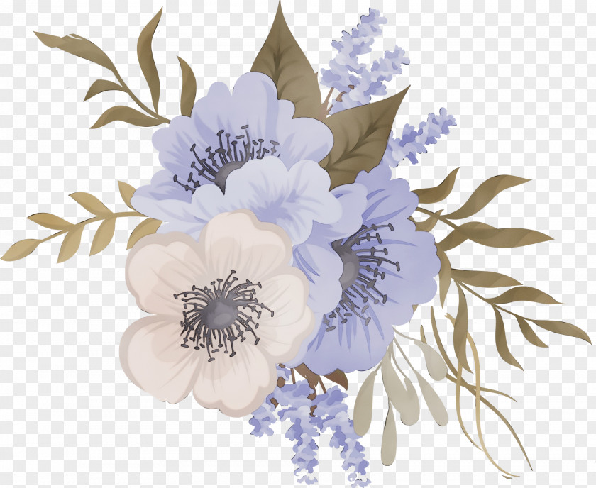 Wildflower Cut Flowers Flower Petal Plant Flowering PNG