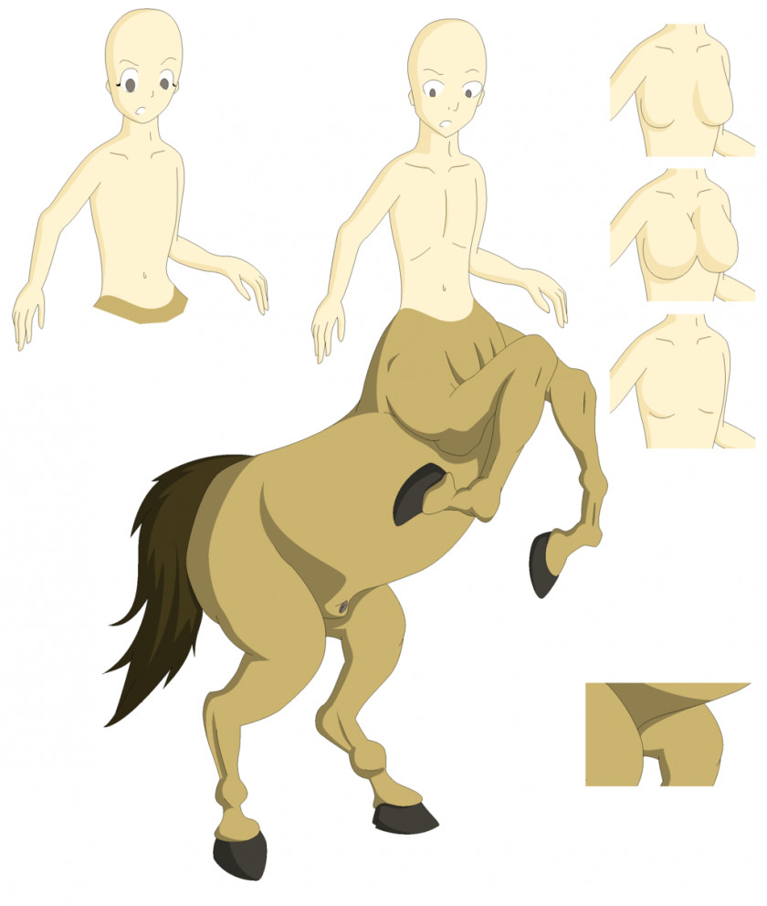 Centaur Mustang Pony Drawing Pack Animal PNG