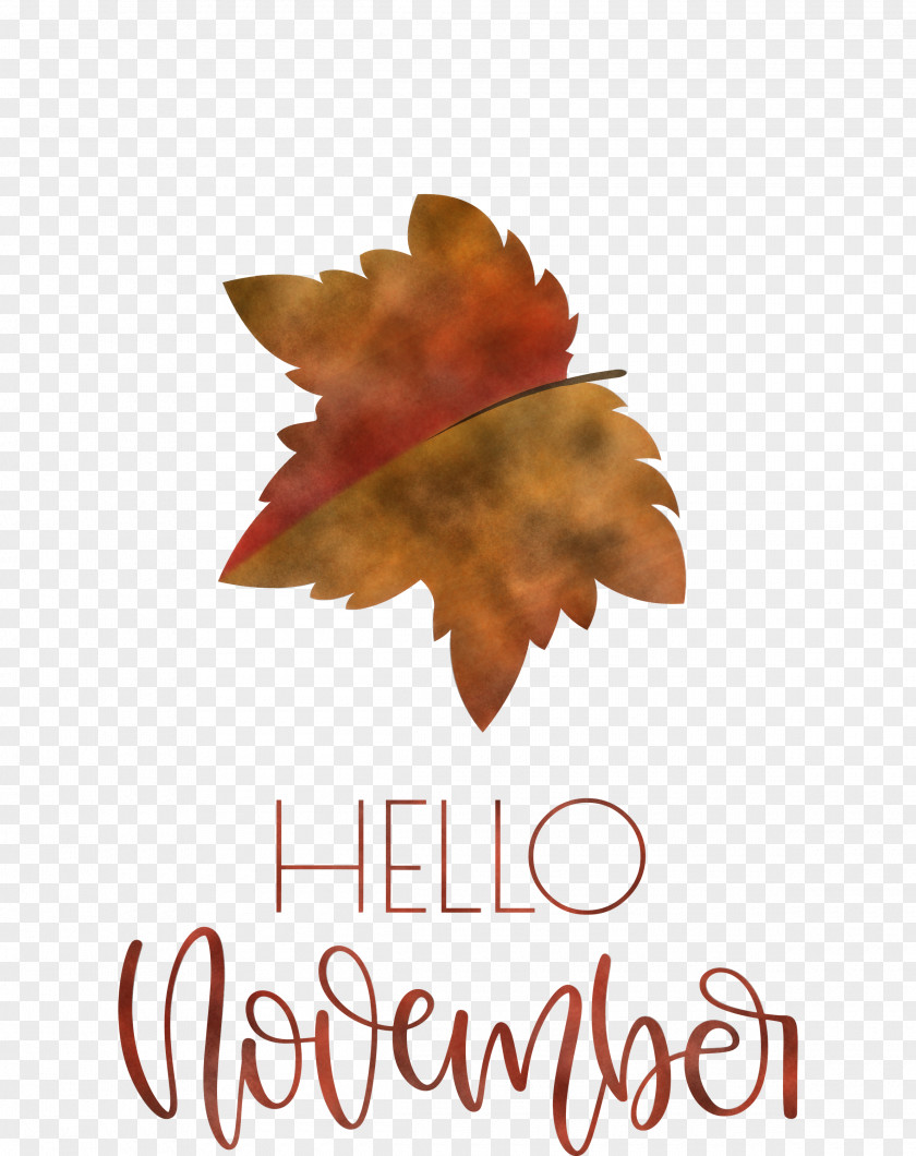 Hello November November PNG