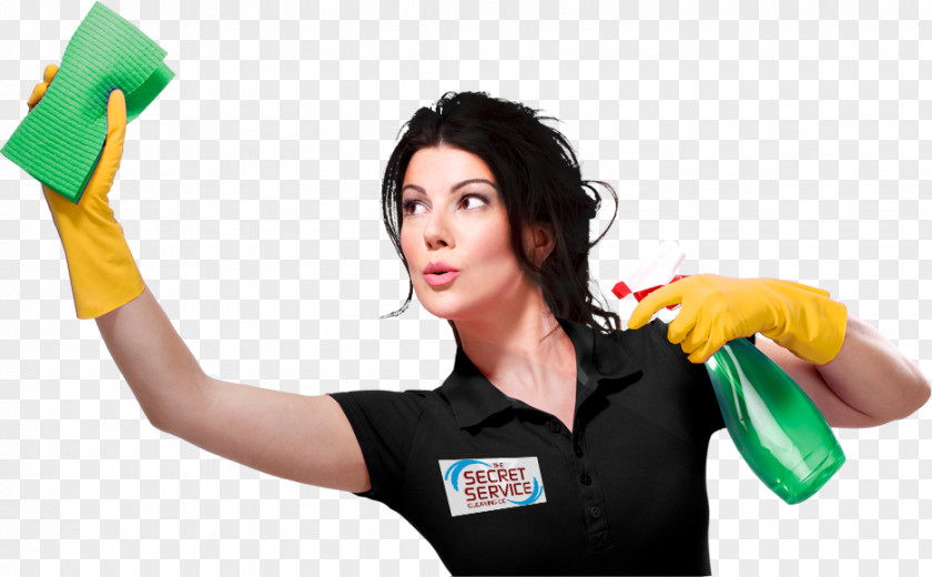 House Maid Service Cleaner Carpet Cleaning PNG