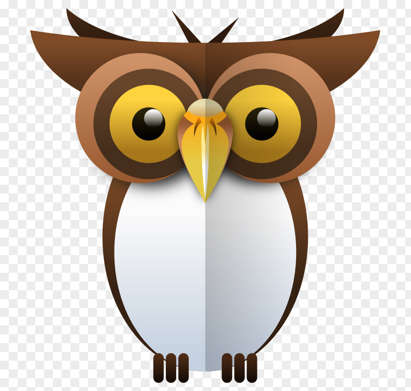 Owl Drawing Clip Art PNG