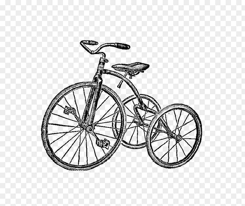 Tricycle Pictures Drawing Bicycle Photography Clip Art PNG