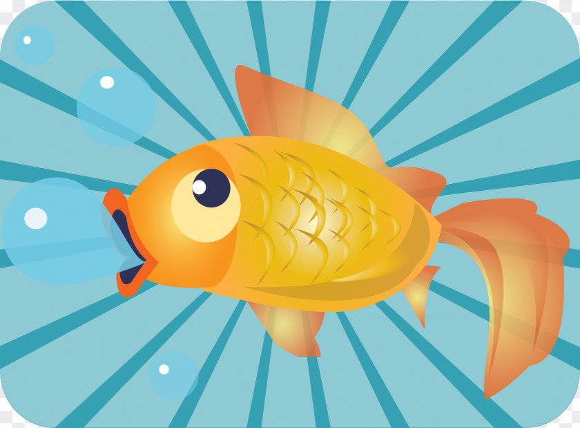 Goldfish Common Carp PNG