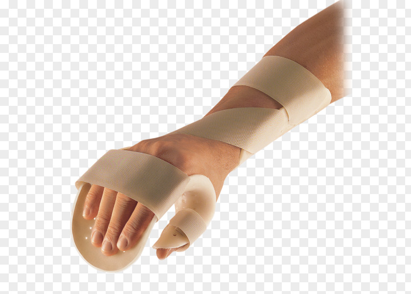 Hand Thumb Orthotics Finger Wrist PNG