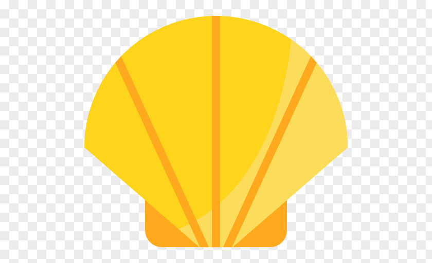 Shell Top Index Ranking Leaf PNG