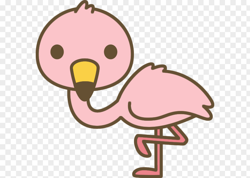 Bird Flamingos Beak Clip Art PNG