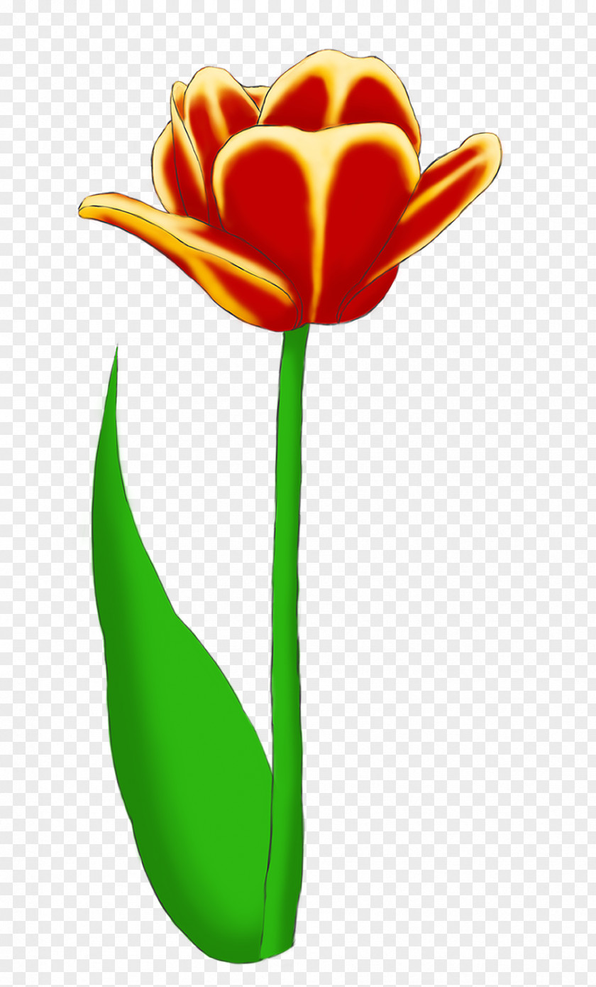 Bouquet Cartoon Tulips Lady Tulip Clip Art Cut Flowers PNG