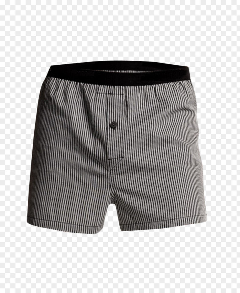 Boxers Swim Briefs Trunks Underpants Bermuda Shorts PNG