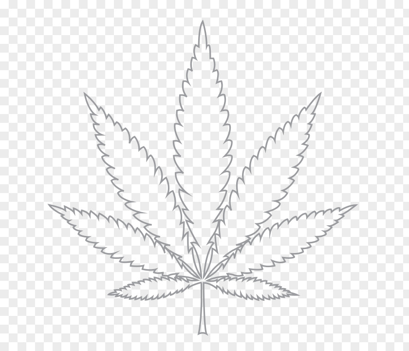 Cannabis Hash, Marihuana & Hemp Museum Leaf White Widow PNG