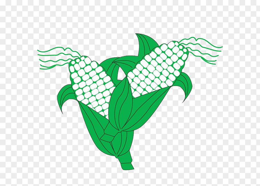 Corn Leaf Line Diagram Cartoon Maize Sticker PNG