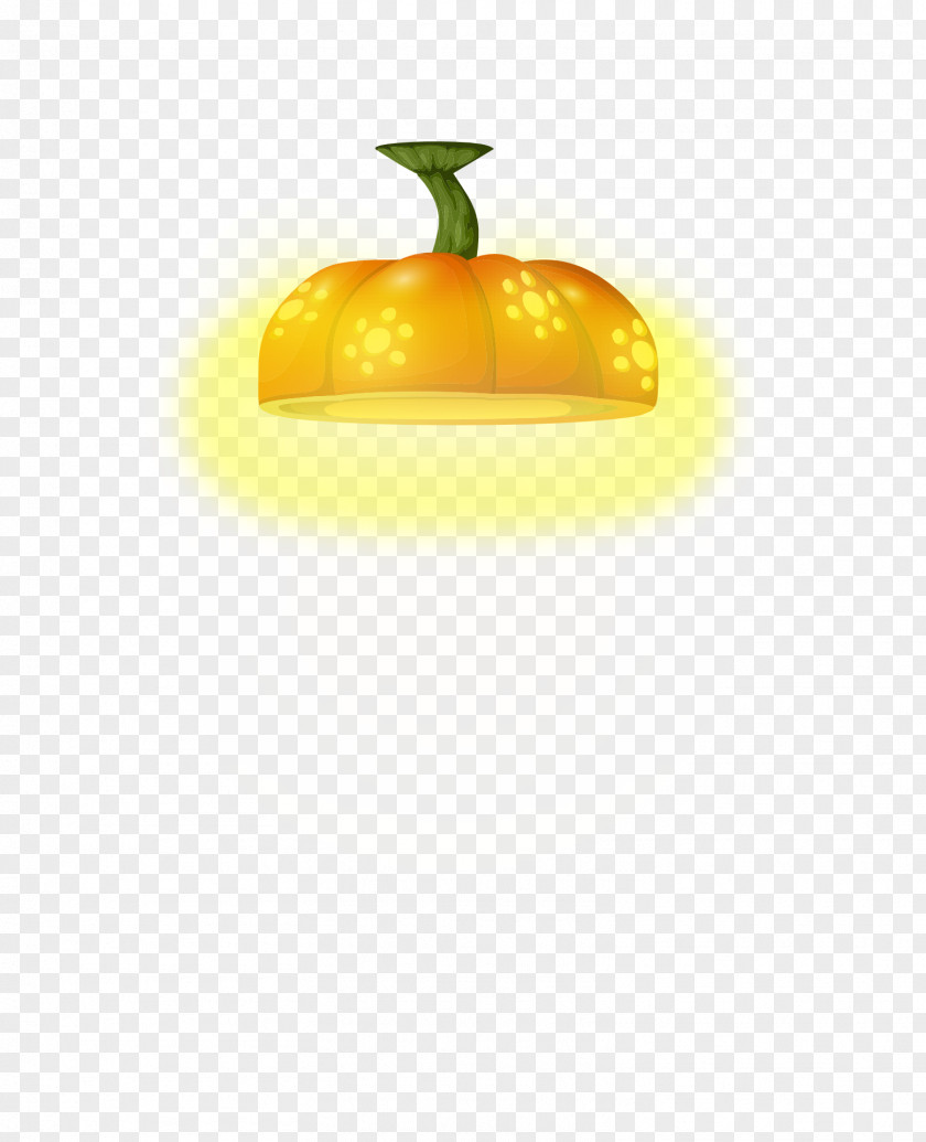 Pumpkin Pendant Light Lighting PNG