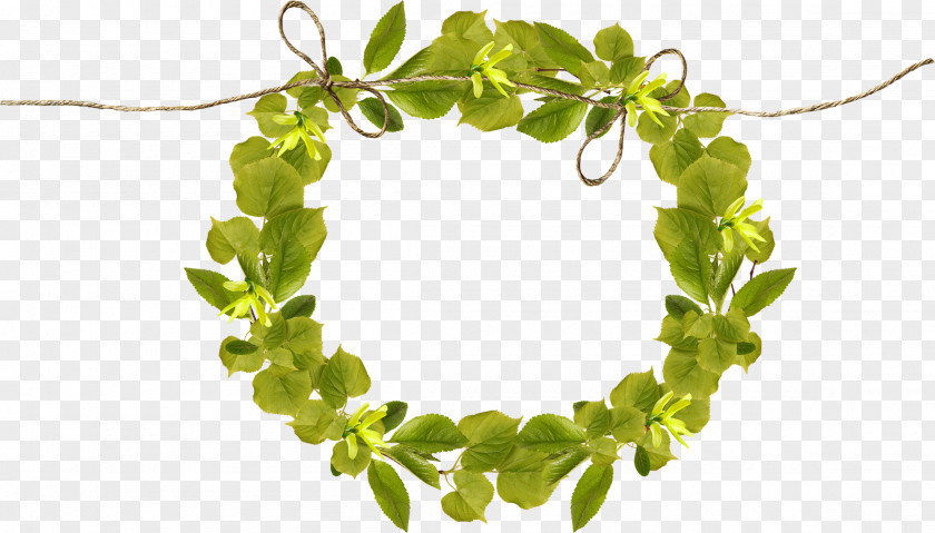 Rope Leaves The Ring Leaf Picture Frame Clip Art PNG