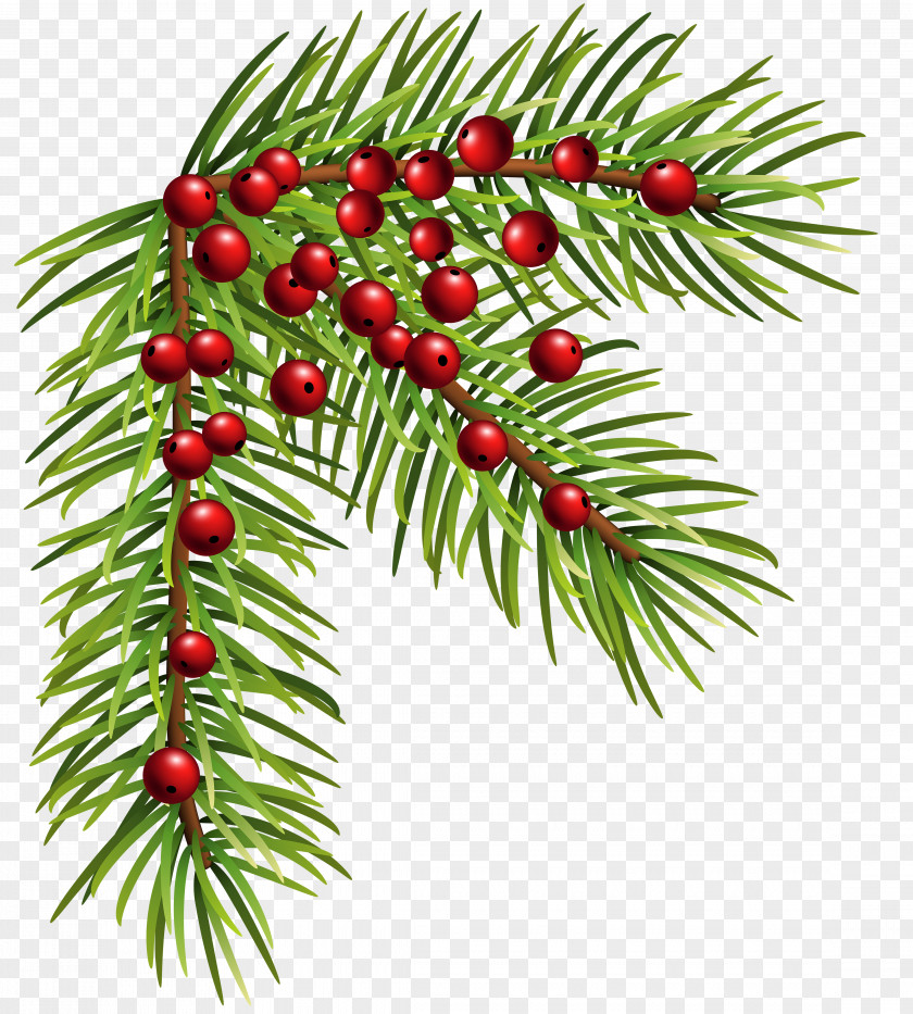 Christmas Pine Corner Clip Art Image PNG