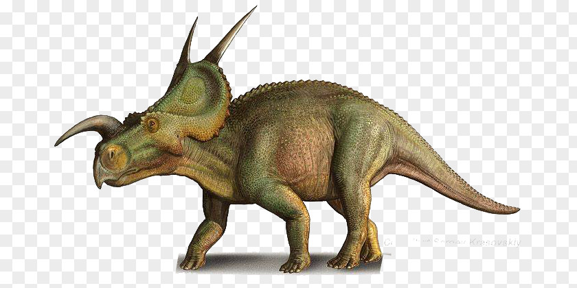 Dinosaur Einiosaurus Pentaceratops Late Cretaceous Dilophosaurus Achelousaurus PNG