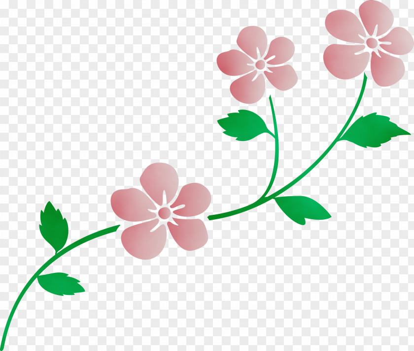 Flower Plant Leaf Pink Petal PNG