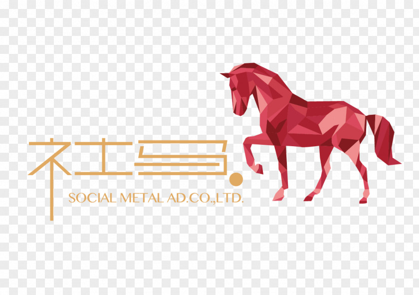 Good Communication Skills Horse Geometric Shape Geometry Polygon PNG