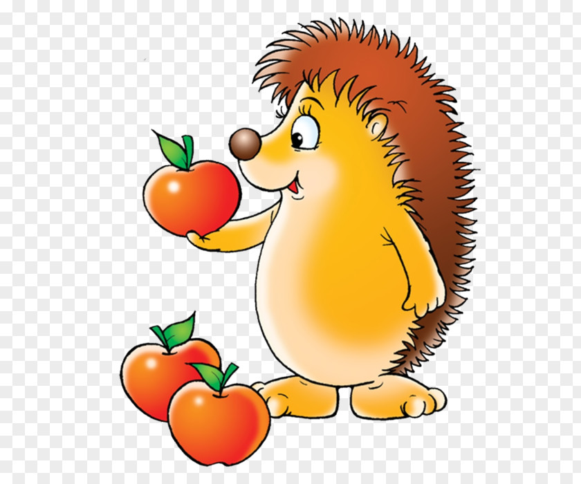 Squirrel Red Hedgehog Clip Art PNG
