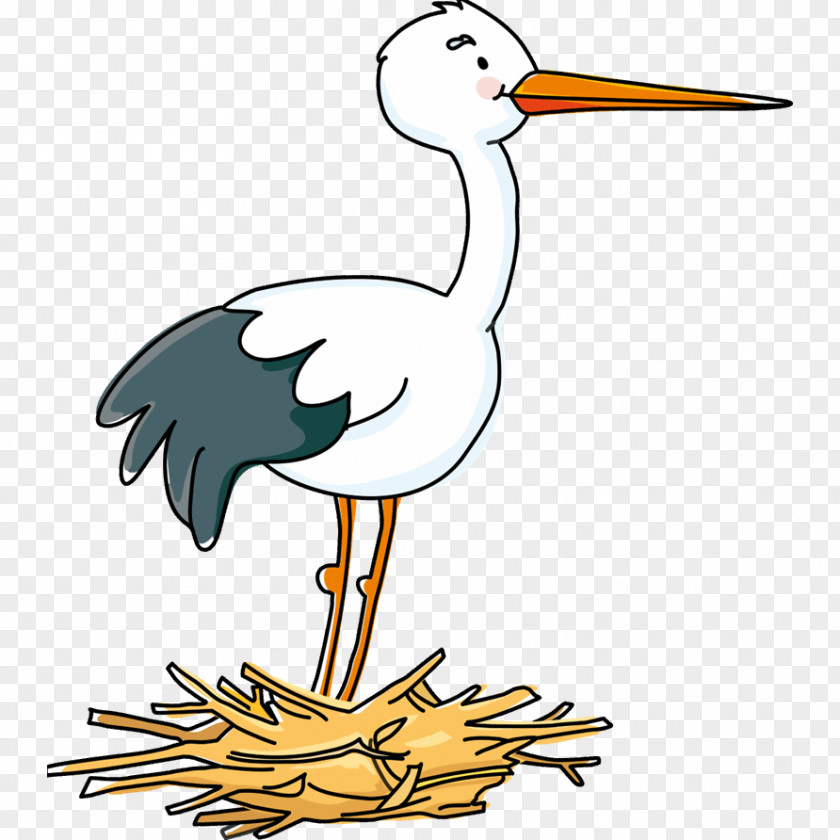 Stork Animal Kid Coloring Pages Bird Drawing Clip Art PNG