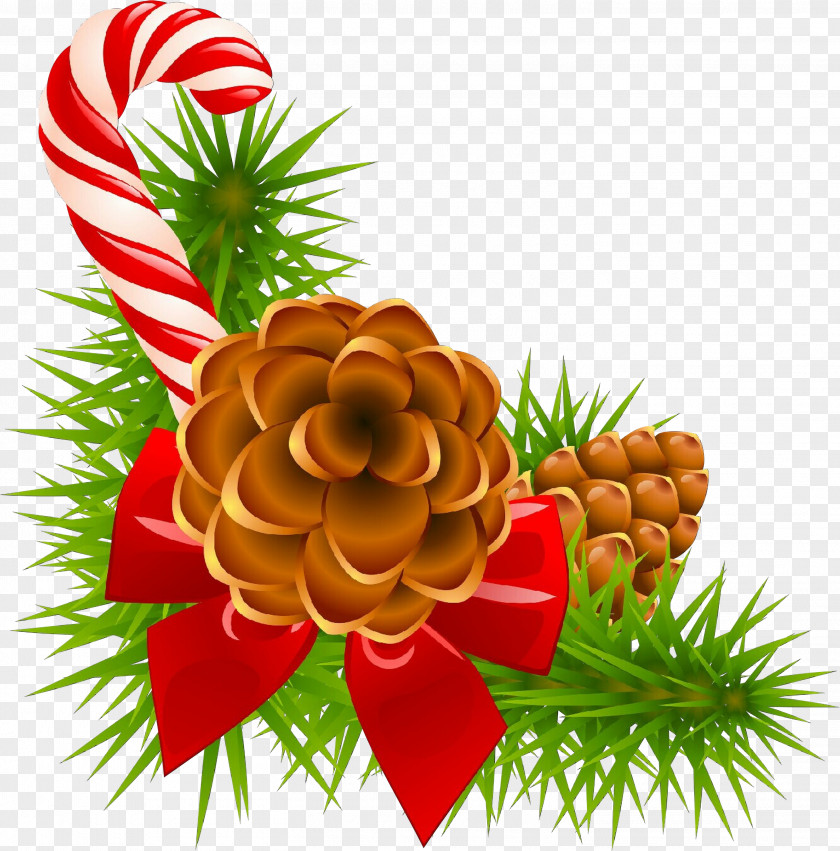 Tree Christmas Oregon Pine Clip Art Plant Conifer PNG