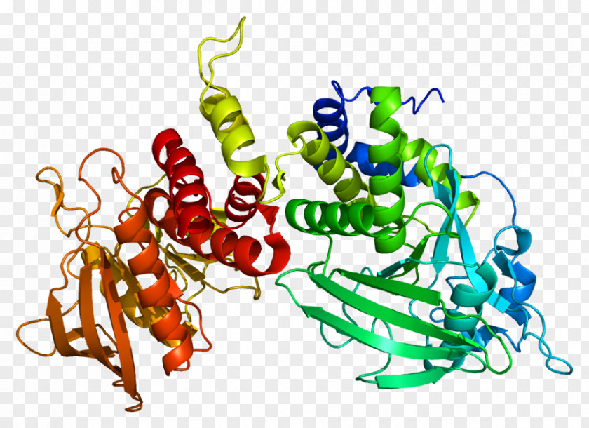 Tubulin PTPRS Protein Tyrosine Phosphatase PTPRD PNG