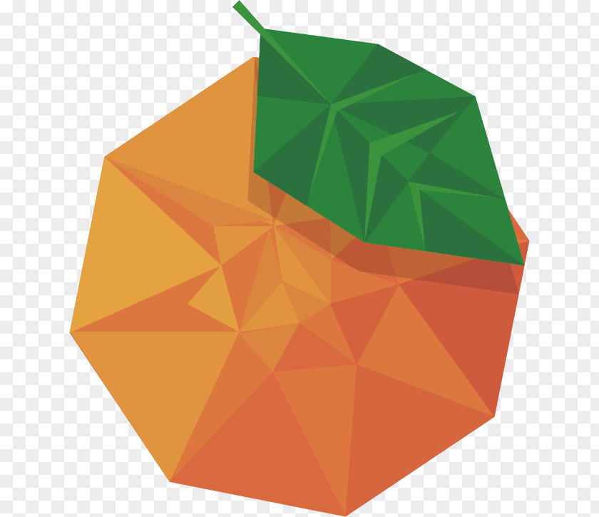 Vector Abstract Creative Fruit Grapefruit Pomelo Auglis PNG