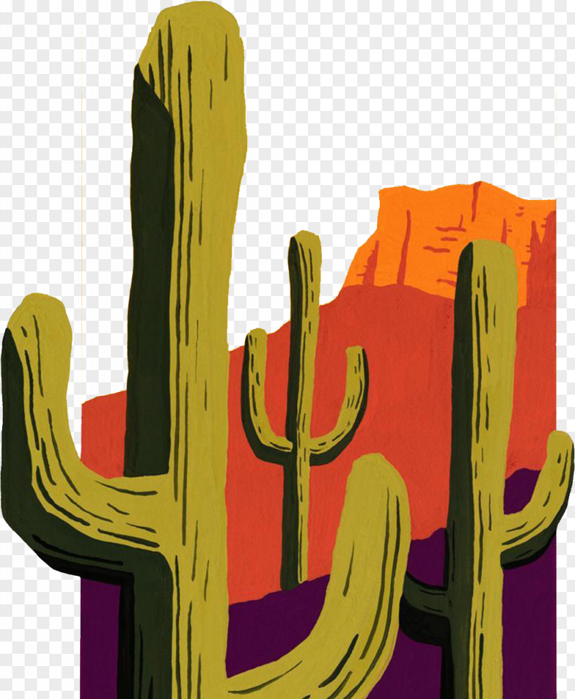 Yellow Cactus Cactaceae Sonoran Desert Saguaro Illustration PNG