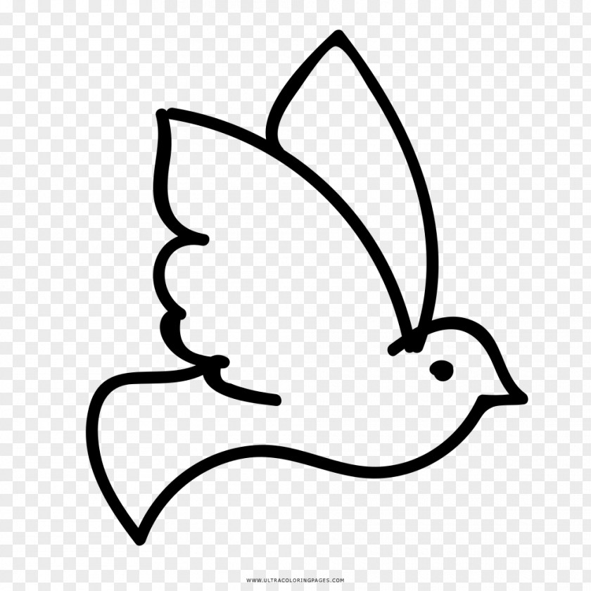Holy Spirit Dove Rock Columbidae Coloring Book Drawing Ausmalbild PNG