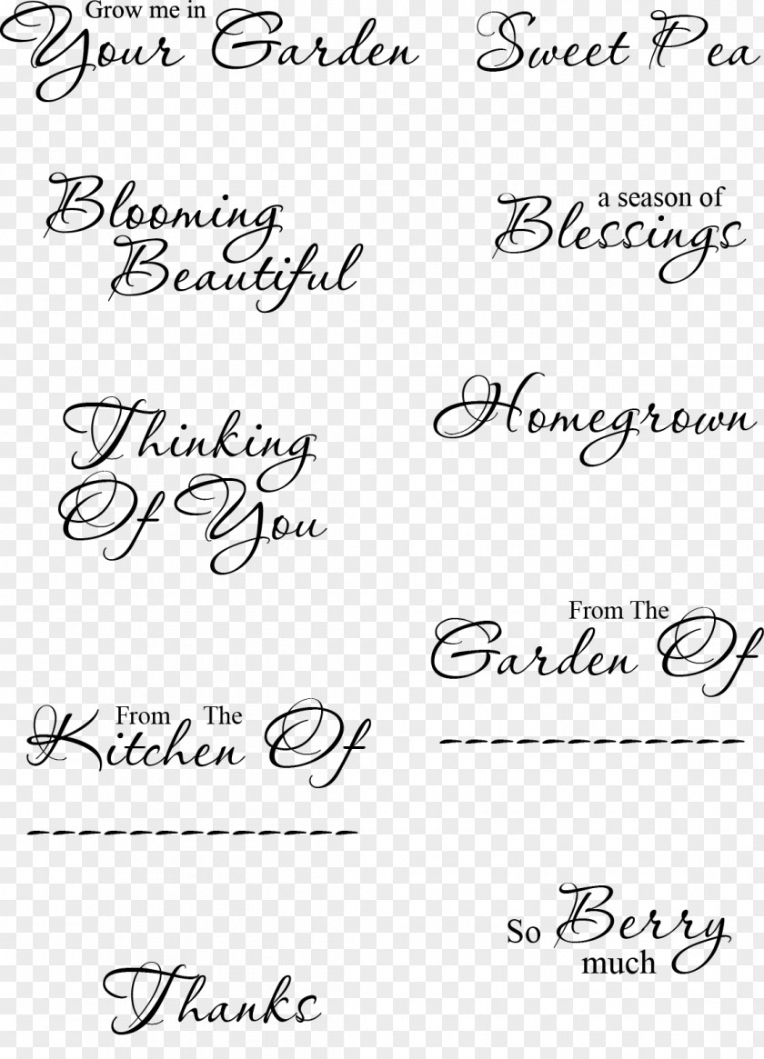Sentiments Paper Calligraphy White Handwriting Font PNG