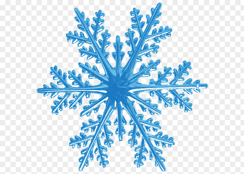 Snowflake Crystal Rain And Snow Mixed PNG