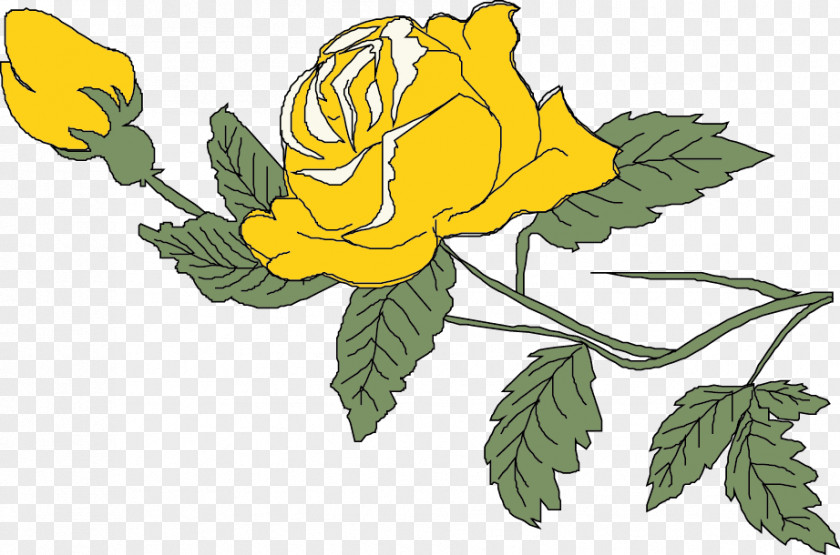 Vector Yellow Rose Beach Wedding Anniversary Illustration PNG