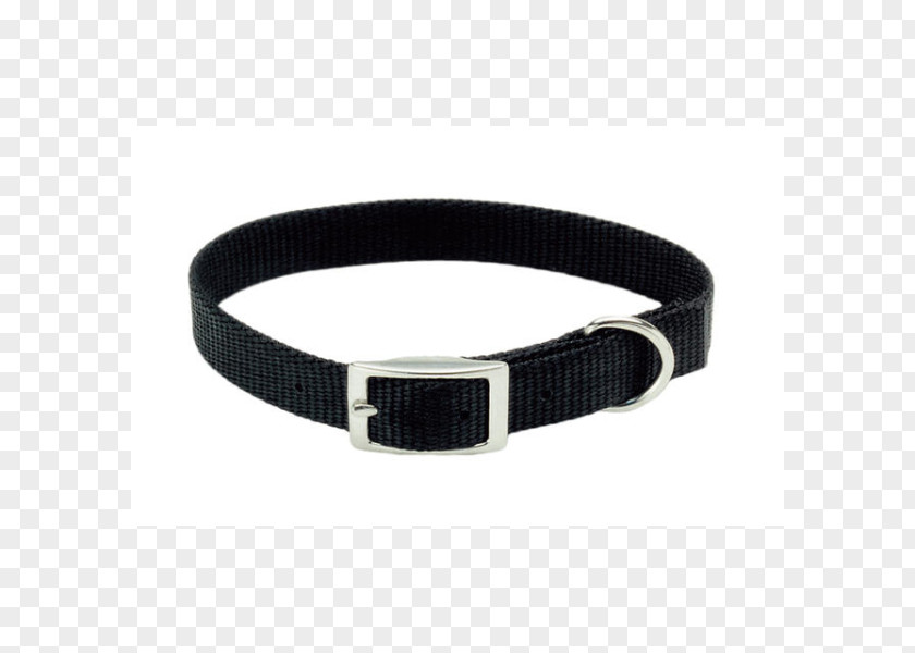 Belt Dog Collar Leash Choker PNG