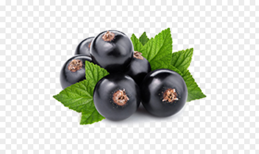 Blackcurrant Redcurrant Mors Bilberry PNG