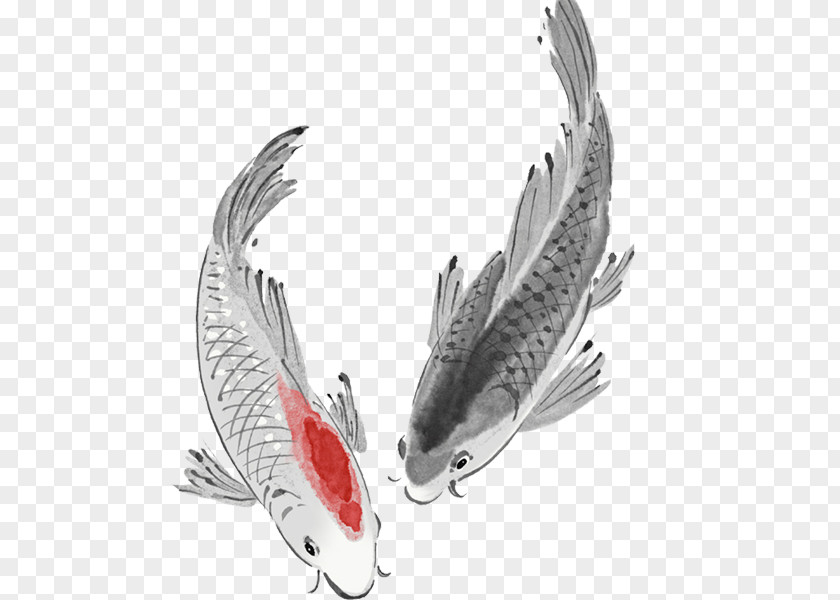 Fish Koi Carassius Auratus Carp PNG