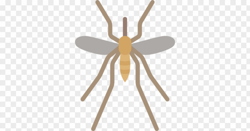 Insect Mosquito Animal Pest Control PNG