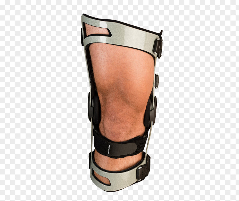 Knee Ligament Breg, Inc. Anatomy Shoulder PNG