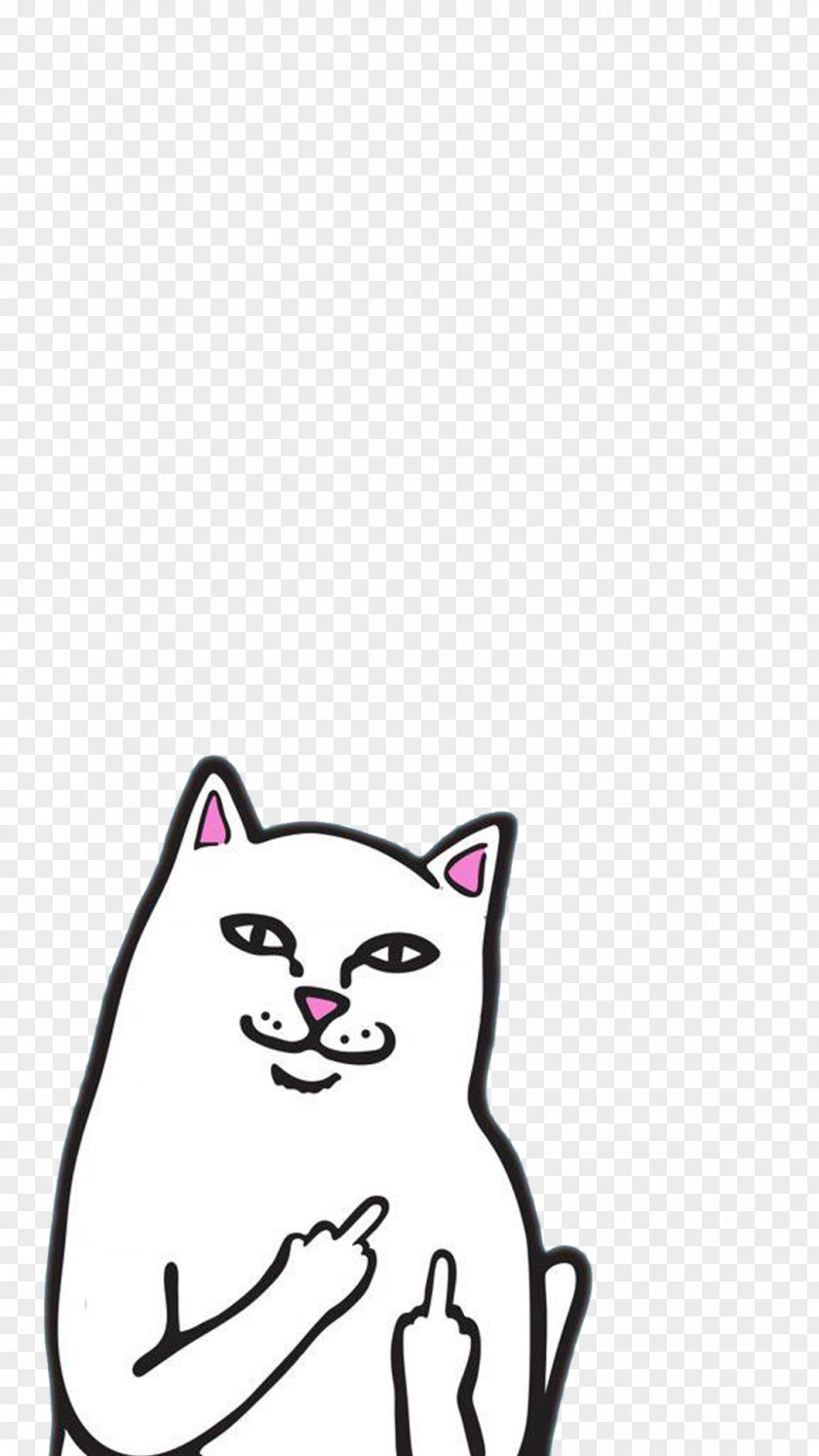 Middle Finger Desktop Wallpaper Cat PNG