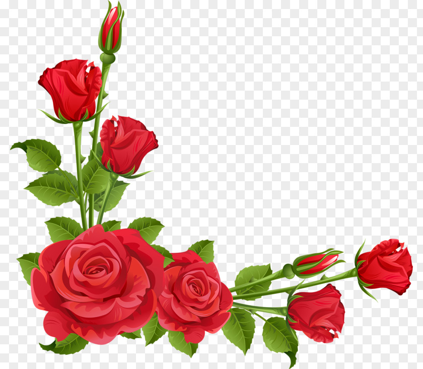 Rose Clip Art Borders And Frames Openclipart PNG